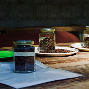 Jade Orchid Green Tea