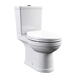 Floor mounted toilet